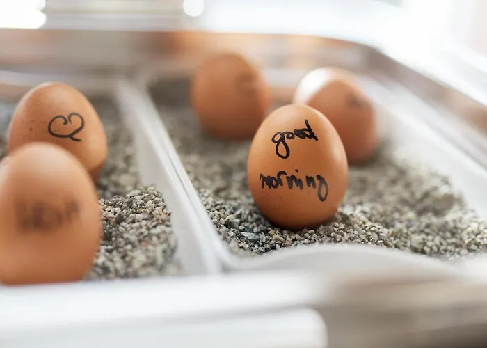 Hotel Central Hamburg-Harburg